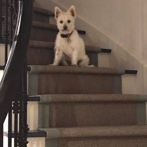 Meet your Posher, Myra